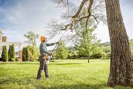 Leaf Removal in Midwest City, OK